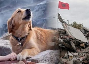 Sot 6 vite nga tërmeti tragjik i 26 nëntorit: 51 jetë të humbura dhe dëme që lanë gjurmë