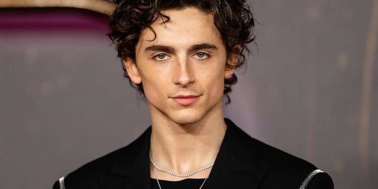 Timothée Chalamet nuk do të kthehet kurrë në televizion!
