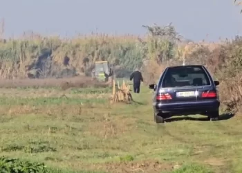 Iu përmbys traktori duke punuar tokën, humb jetën 62-vjeçari