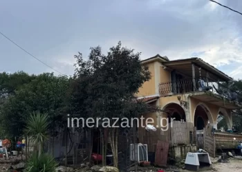 Qeni i kafshoi për vdekje fëmijën 2 vjeç, flet babai shqiptar në Greqi