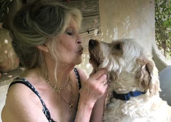 Çfarë postoi Brigitte Bardot në Instagram një ditë përpara vdekjes?
