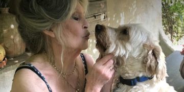 Çfarë postoi Brigitte Bardot në Instagram një ditë përpara vdekjes?