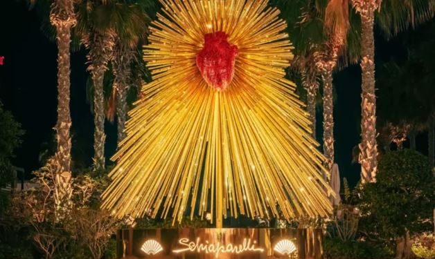 Bredhi Schiaparelli i Krishtlindjeve s’i ngjan fare tradicionalit!