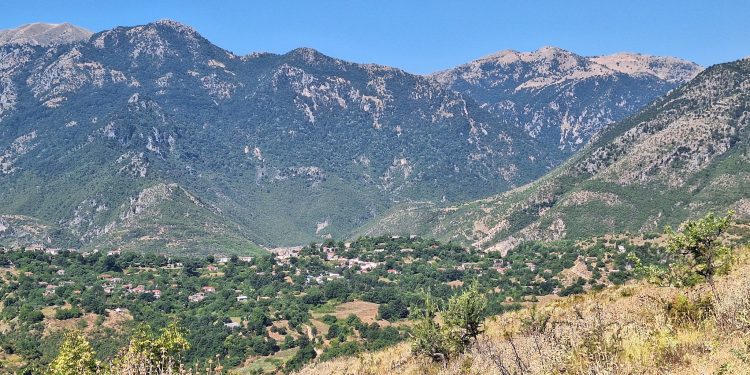 Fushëbardhë, djali dhunon nënën e tij, arrestohet nga policia