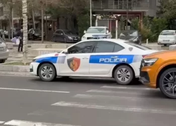 U rrëzua dhe përplasi kokën me bordurat e bulevardit, humb jetën 50-vjeçarja