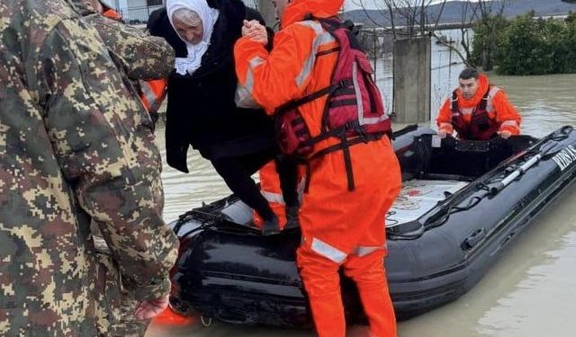 Nëse ky popull është harbut, kush është kryeharbuti?