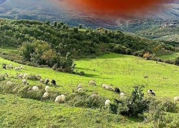 Tepelenë, 56-vjeçari gjendet e i pajetë në stan, dyshimet e para