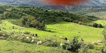 Tepelenë, 56-vjeçari gjendet e i pajetë në stan, dyshimet e para