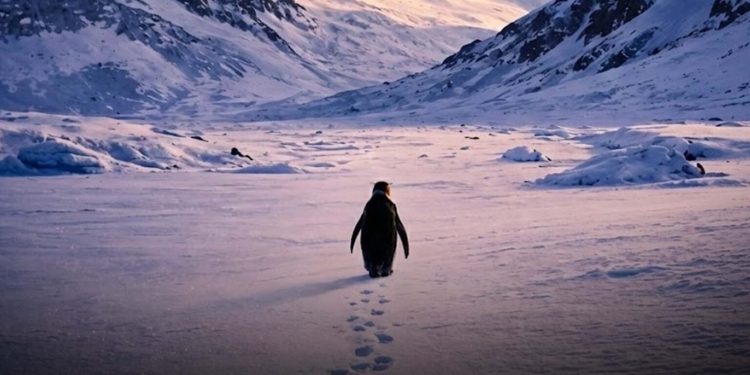 Pse ‘marshimi i vdekjes’ i një pinguini po bëhet viral? Çfarë domethënie ka ‘Pinguini Nihilist’ që e ka bërë internetin të mendojë shumë për jetën