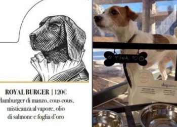 Hamburger me mish viçi, peshk dhe cous-cous i dekoruar me fletë ari/ Meny e pazakontë gourmet për qentë në prag të Olimpiadës Dimërore, çmimet shkojnë deri në …