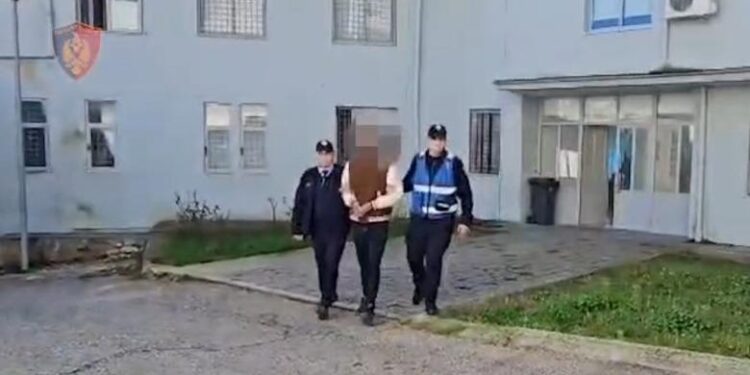 Arsenal armësh dhe drogë në shtëpi, arrestohet i riu në Përmet