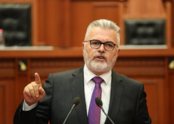 Gogu: Këta pretendojnë të jenë zëri i qytetarëve a thua se qytetarët duan zjarr e flakë