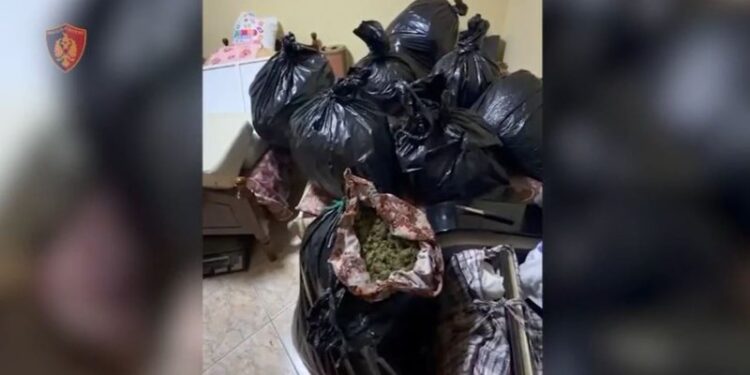 Prodhim dhe shitje droge, arrestohen dy persona në Vlorë