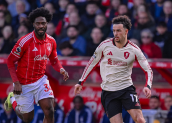 VIDEO/ “Buzëqesh” Liverpool, i nderon një gol në fund