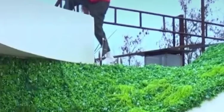 Kapërceu murin, Kristi largohet nga “BBVA”!