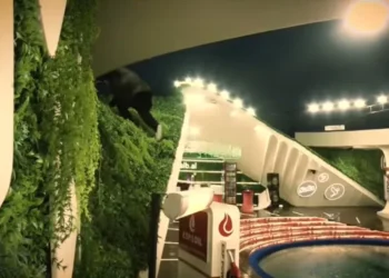 Produksioni e zbuloi! Kristi u përjashtua për këtë arsye