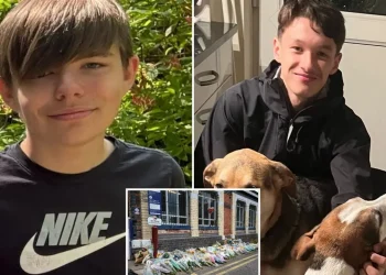 Tragjedi në Cheshire: 16-vjeçari humb jetën duke u përpjekur të shpëtojë mikun nga treni