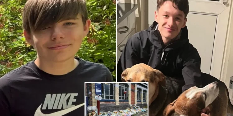 Tragjedi në Cheshire: 16-vjeçari humb jetën duke u përpjekur të shpëtojë mikun nga treni