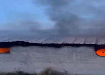 Pamje të rënda/ 22 lopë dhe viça të djegur pasi zjarri përfshiu stallën (VIDEO)