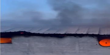 Pamje të rënda/ 22 lopë dhe viça të djegur pasi zjarri përfshiu stallën (VIDEO)