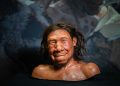 Burra Neandertalë dhe gra Homo sapiens, studimi zbulon tendencën e çiftëzimit që formësoi ADN-në tonë