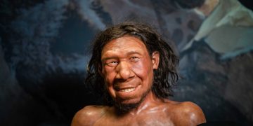 Burra Neandertalë dhe gra Homo sapiens, studimi zbulon tendencën e çiftëzimit që formësoi ADN-në tonë