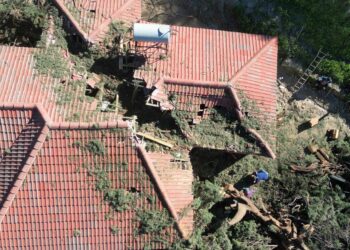 E frikshme/ Shihni si e ka dëmtuar qiparisi i rrëzuar këtë shtëpi në Delvinë