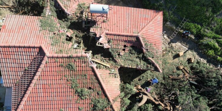 E frikshme/ Shihni si e ka dëmtuar qiparisi i rrëzuar këtë shtëpi në Delvinë