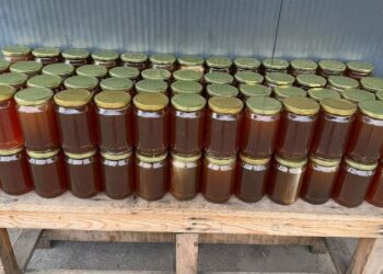 Bllokohet 1 ton mjaltë në kufi me Greqinë, do i nënshtrohet analizave për sigurinë ushqimore