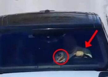 Me ceular në timon, Ministri i Brendshëm paralajmëron shoferët: Po luani me jetën!