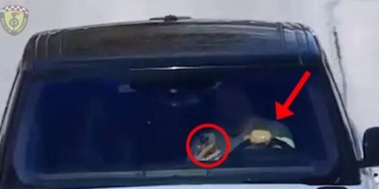 Me ceular në timon, Ministri i Brendshëm paralajmëron shoferët: Po luani me jetën!