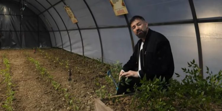 “Kam punuar me bimët…”, hyrja ndryshe e Elvis Pupës në Ferma VIP 3