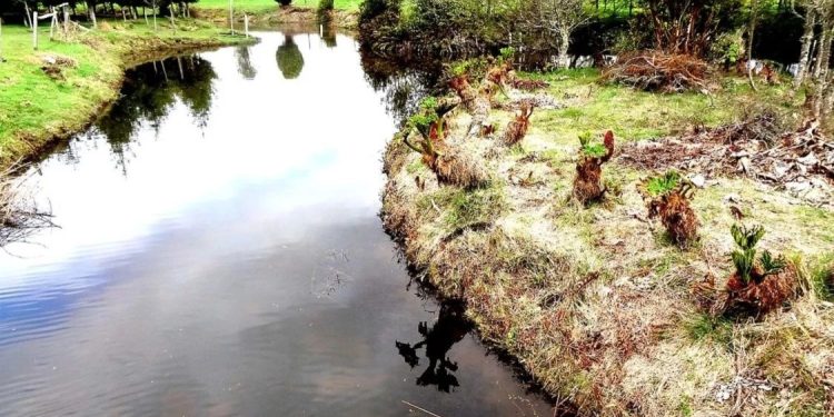 Një kthesë në historinë e Amerikës/ Studimi trondit arkeologjinë, Monte Verde mund të jetë mijëra vite më i ri se sa mendohej