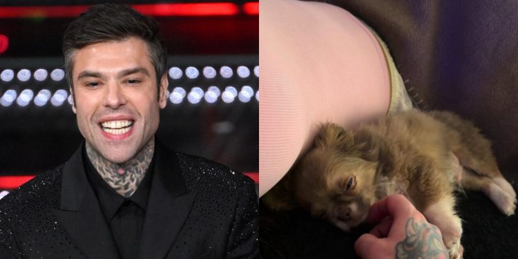 Një foto që ngriti dyshime: A është shtatzënë e dashura e Fedez?