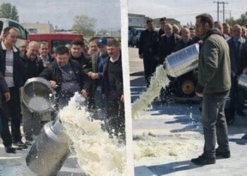 Blegtorët prodhues të qumështit njoftojnë protestë para Ministrisë së Bujqësisë