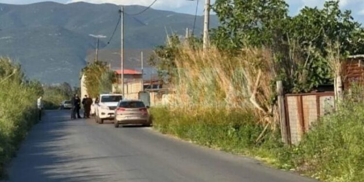 Shqiptari u gjet i vrarë në Greqi me plumb në kokë në një stallë, merret në pyetje bashkatdhetari. Policia në kërkim të armës së krimit…