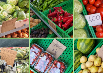 Domatja që po na kushton sa ‘floriri’