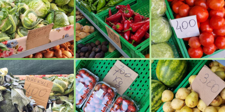 Domatja që po na kushton sa ‘floriri’