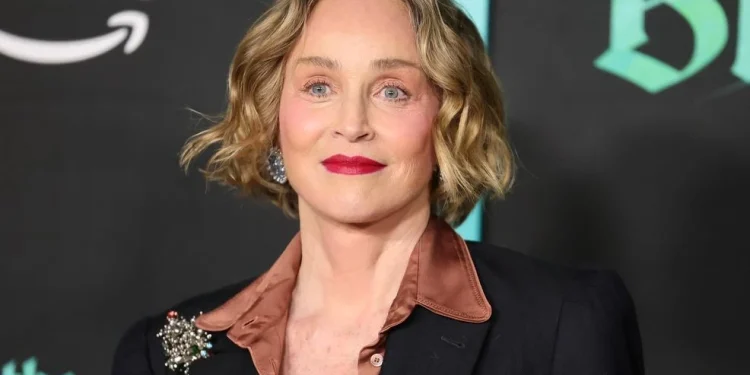 Skena erotike në 1992, Sharon Stone: Humba kujdestarinë e djalit tim për shkak të kësaj