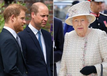 Si do të ndikonte Mbretëresha Elizabeth në krizën mes dy vëllezërve mbretërorë?