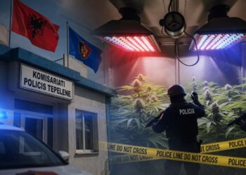 Tepelenë/ Pajisje për kultivimin e lëndëve narkotike në një banesë të braktisur, shpallet në kërkim 49-vjeçari