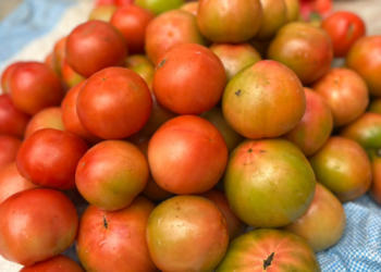 Çmenduri me çmimet/ Specat deri në 500 lekë/kg, domatet deri në 400 lekë/kg