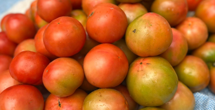 Çmenduri me çmimet/ Specat deri në 500 lekë/kg, domatet deri në 400 lekë/kg