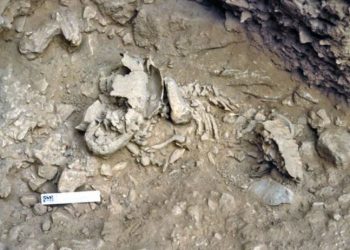 Studim i ri/ Foshnjat Neandertale rriteshin shumë më shpejt se njerëzit modernë