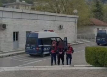 Arrestohet në Këlcyrë një i kërkuar ndërkombëtarisht për trafik droge