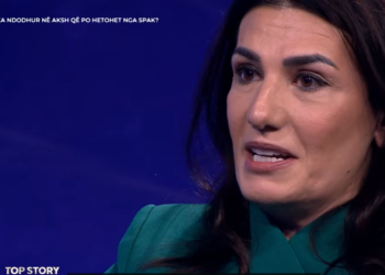 Tenderat e AKSHI-t/ Mirlinda Karçanaj: U gjenda në një botë të kthyer përmbys. U godita me gurë! Më damkosën me akuza