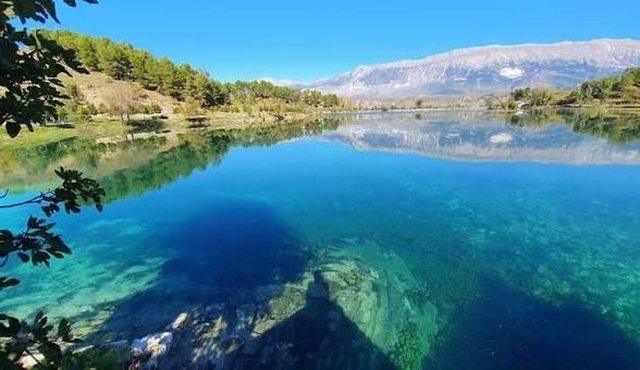Mbytja e 62-vjeçarit në Virua, policia jep detaje: Ishte i punësuar si roje në zonë