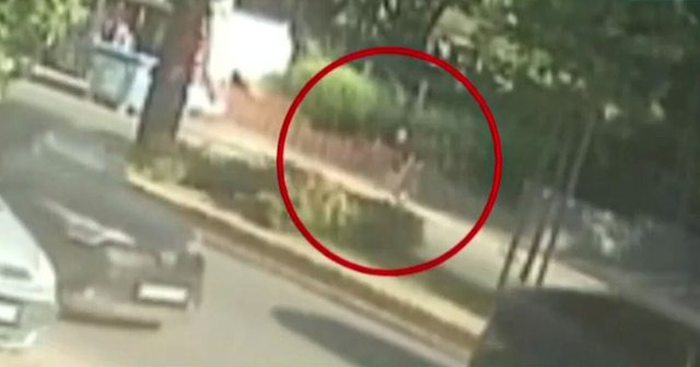 Arratisja spektakolare e shqiptarit nga burgu i Koridhalos në Greqi  VIDEO 