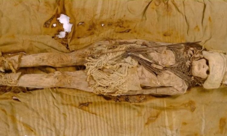 Shkencëtarët zbulojnë “djathin më të vjetër në botë”… brenda mumjeve 3,500-vjeçare në Kinë