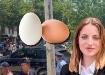 Ish-deputetja e PS: Nuk është dhunë nëse të bëhet pak pis kostumi. Do të isha shumë e nderuar nëse do të më gjuanin me vezë